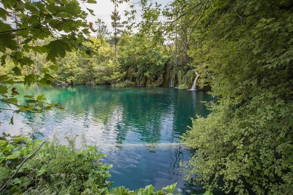 クロアチアのプリトヴィツェ国立公園 ストック画像