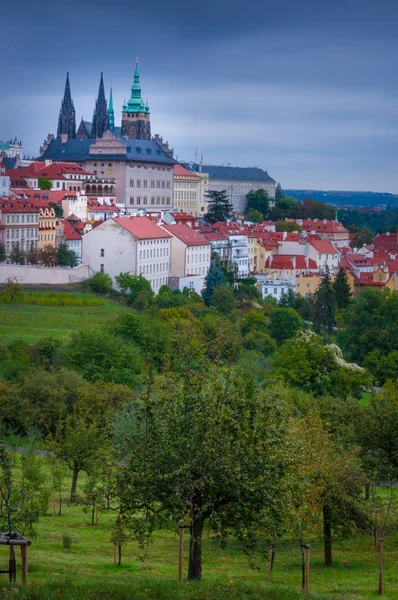 Vy över slottet — Stockfoto