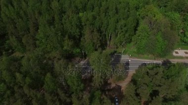 4 k hava görünümünü manzara orman yolu ile