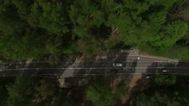4 k hava görünümünü manzara orman yolu ile