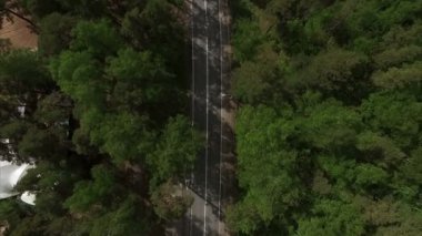 4 k hava görünümünü manzara orman yolu ile