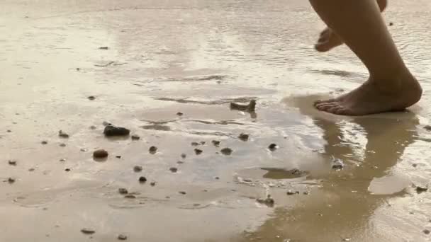 ビーチで実行されている裸足の女 — ストック動画