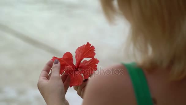 ผู้หญิงอยู่บนชายหาด ดอกไม้สีแดง — วีดีโอสต็อก