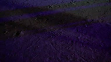 Plaj partisi üzerinde gölge dans