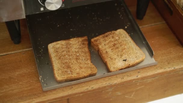 Fryed brood in de broodrooster — Stockvideo