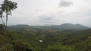 Mountain view orman üzerinde