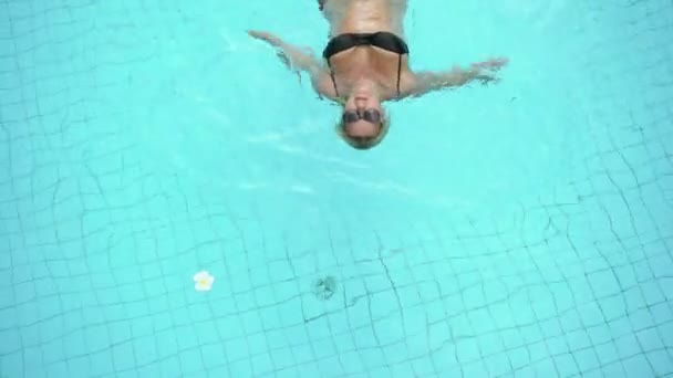 Fiatal szexi nő, úszás a medencében — Stock videók