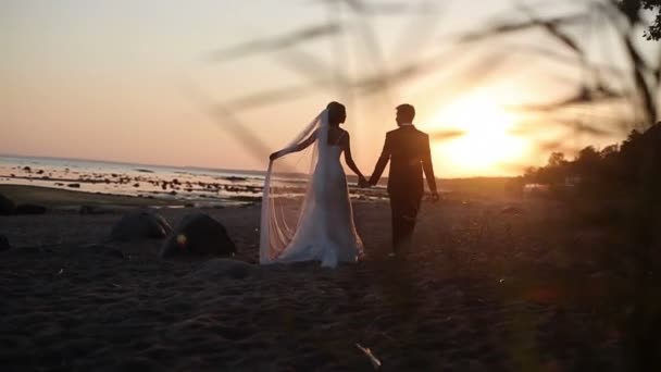 Bruid en bruidegom lopen op een avond strand — Stockvideo