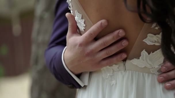 Düğün çift kucaklayan, güzel gelin geri — Stok video