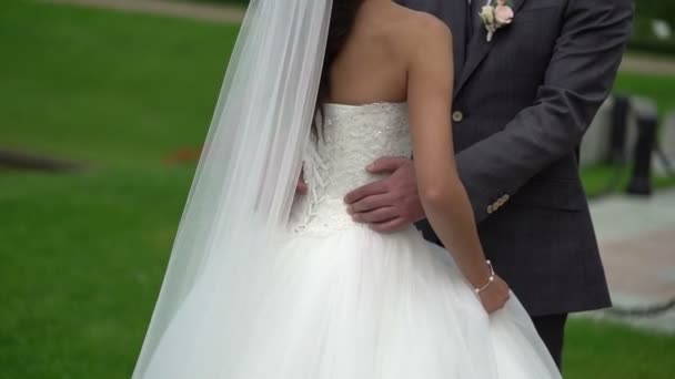 Hochzeitspaar umarmt, schöne Brautschleife — Stockvideo