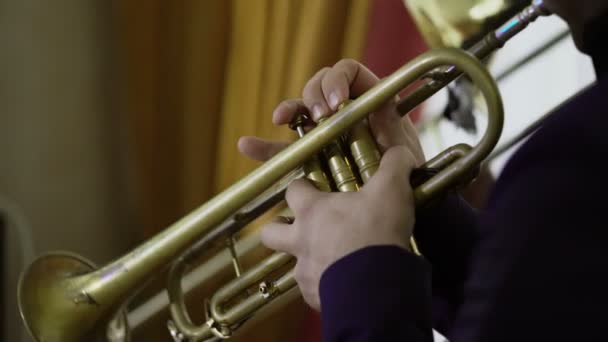 Konstnären spelar trumpet på konsert — Stockvideo