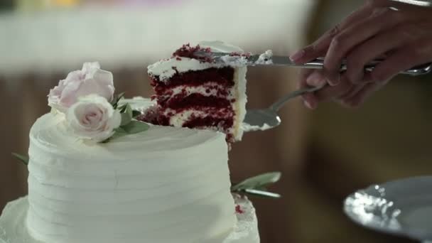 Bride and groom cutting wedding cake — Stock Video
