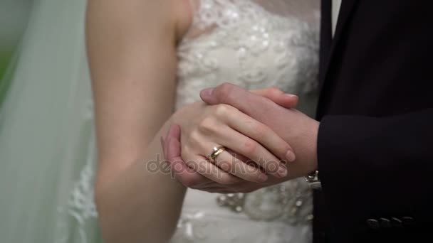 Bride and groom holding hands — Stock Video