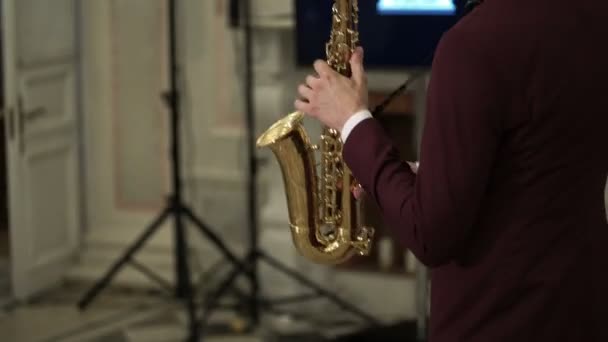 Санкт-Петербург, Російська Федерація, 15 липня 2016: Саксофоніст відтворення музики — стокове відео