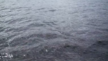 Dalgalar üzerinde su slowmotion