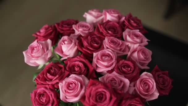Vackra röda och rosa rosor — Stockvideo
