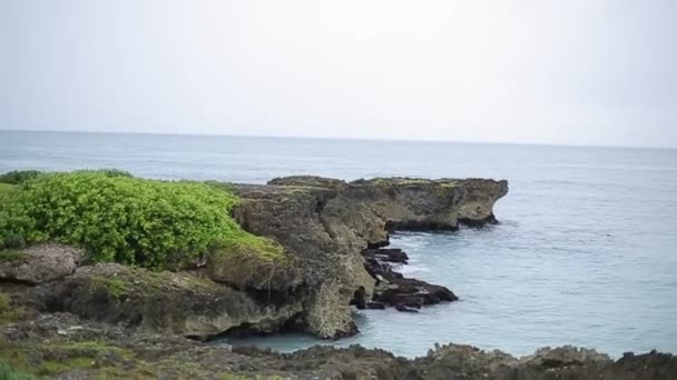 Caribien hav natur – Stock-video