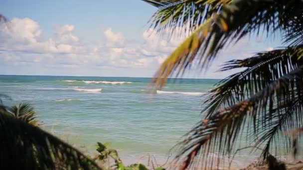 Caribbean sea and the beach — Stock Video