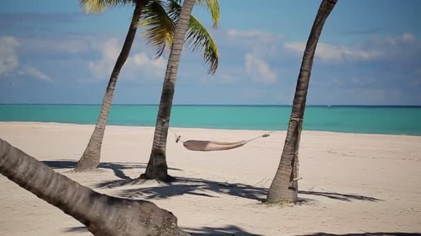 海滩上的吊床 — 图库视频影像