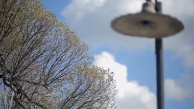 Bulutlu gün park lambası