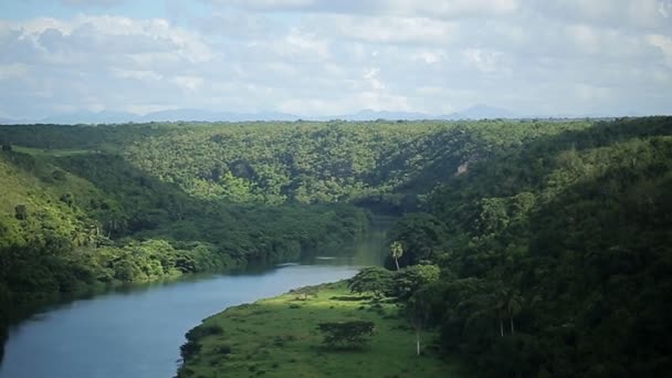 在热带森林里美丽的河 — 图库视频影像