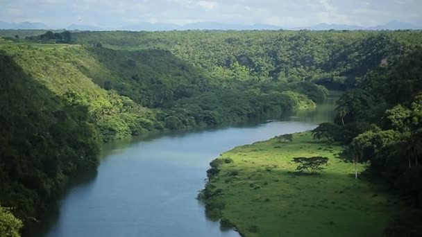 Hermoso río en bosque tropical — Vídeo de stock