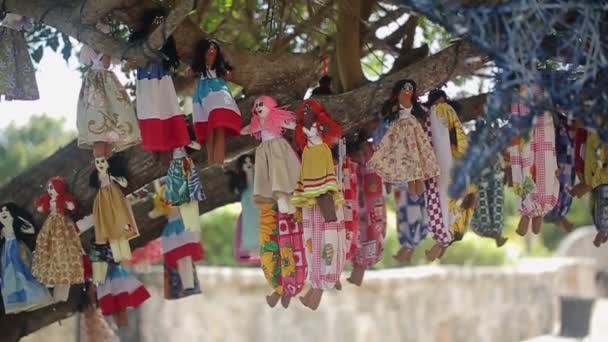 Куклы вуду на дереве — стоковое видео