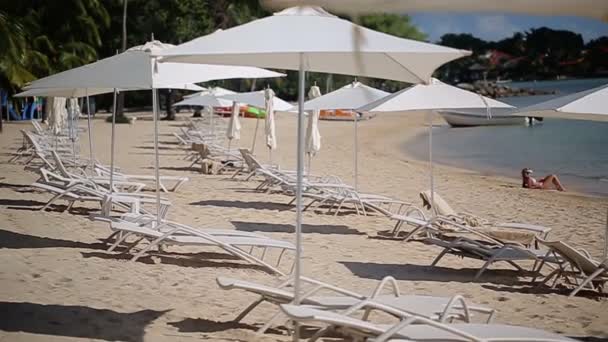 Sombrillas y sillas de playa — Vídeo de stock