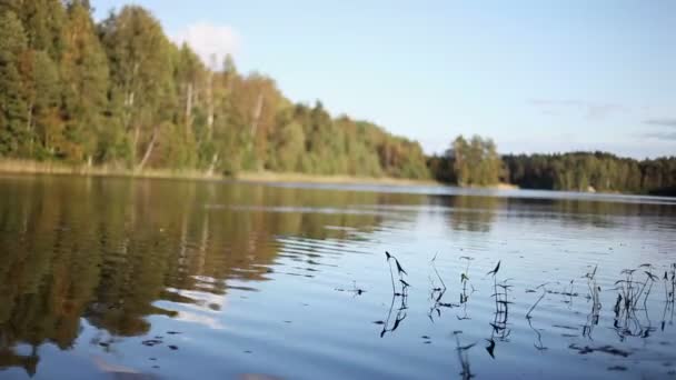 Beau lac à l'automne 