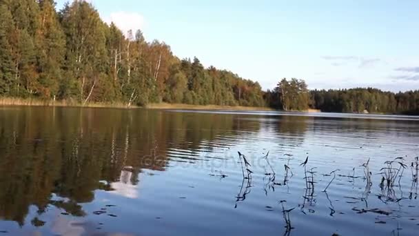 Smuk sø i efteråret – Stock-video