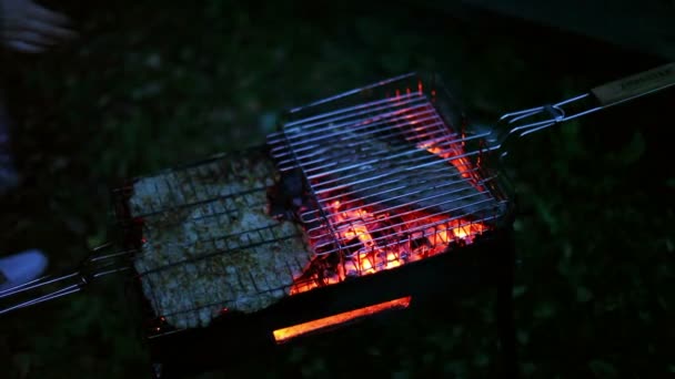 Vis koken op grill — Stockvideo