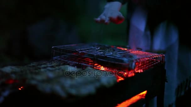 Halak főzés a grill — Stock videók