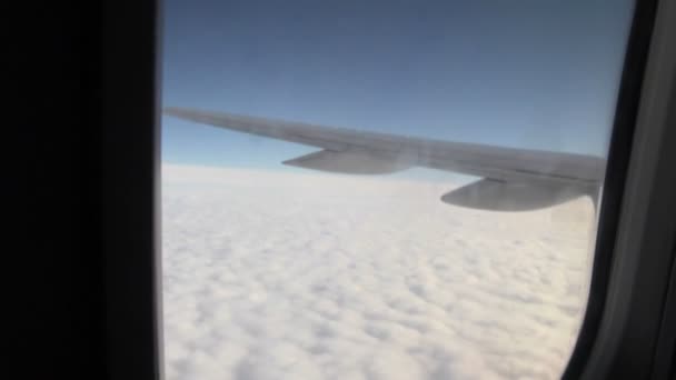 Vliegtuig vliegende uitzicht vanaf cabine — Stockvideo