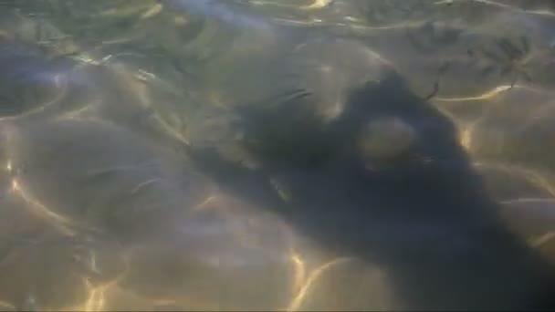 Ombre de femme dans une mer 