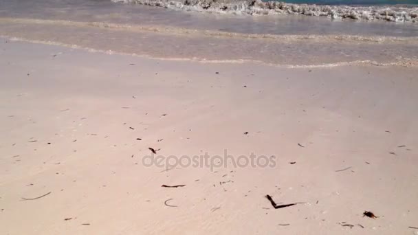Волны на пляже — стоковое видео