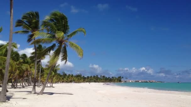 Caribbean beach nature — Stock Video