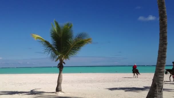 People riding horses on a beach — Stock Video