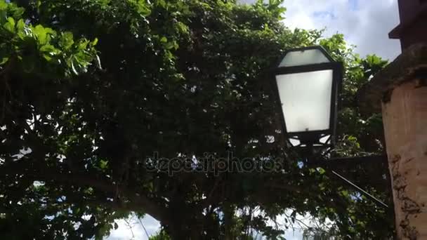 Вуличні ліхтарі в парку — стокове відео