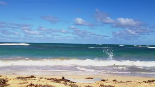 Zeitraffer am Strand bei sonnigem Tag — Stockvideo