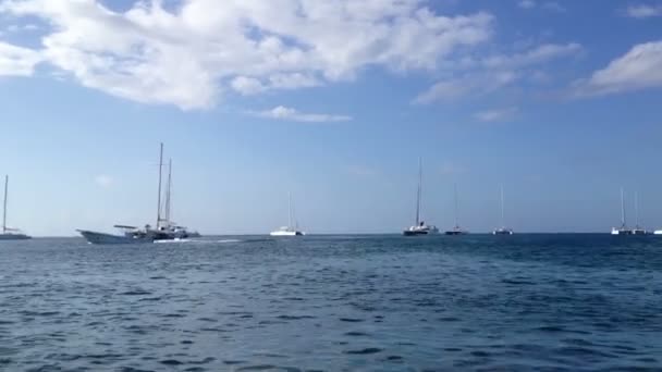 Розкішні яхти в морі — стокове відео