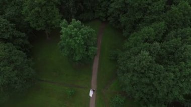 Park Düğün çifti. 4k hava