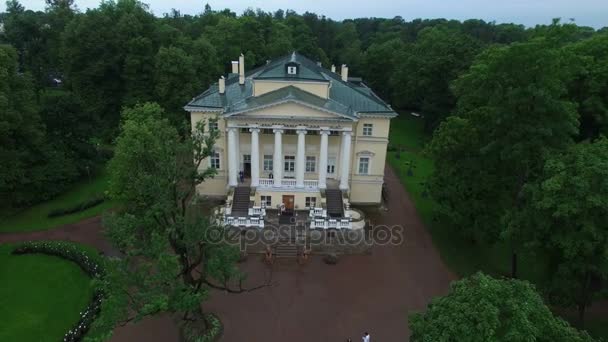 Palacio de bodas en la ciudad de Pushkin San Petersburgo aérea 4k — Vídeo de stock
