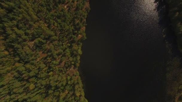 Flygfoto över sjön i skogen — Stockvideo