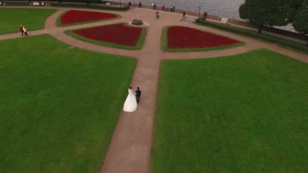 Casal de casamento andando na ilha de Vasilevsky — Vídeo de Stock