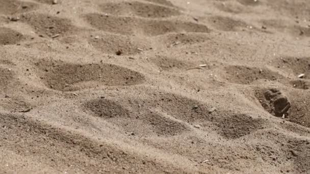 Young lovely couple running on a beach — Stock Video