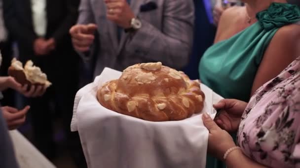 Noivo quebrando pão de casamento — Vídeo de Stock