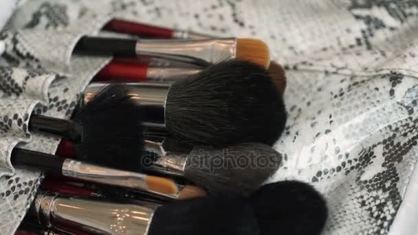 Makeup brushes pan shot — Stock Video