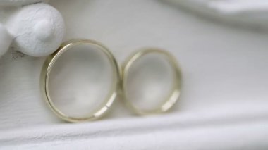 Alyanslar beyaz arkaplanda