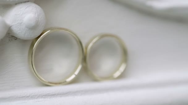 alliances sur fond blanc