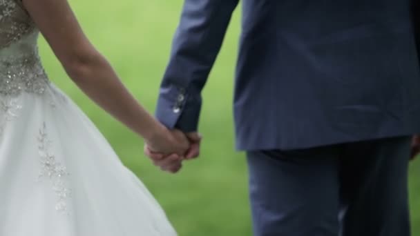 Young lovely wedding couple walking in park — Stock Video